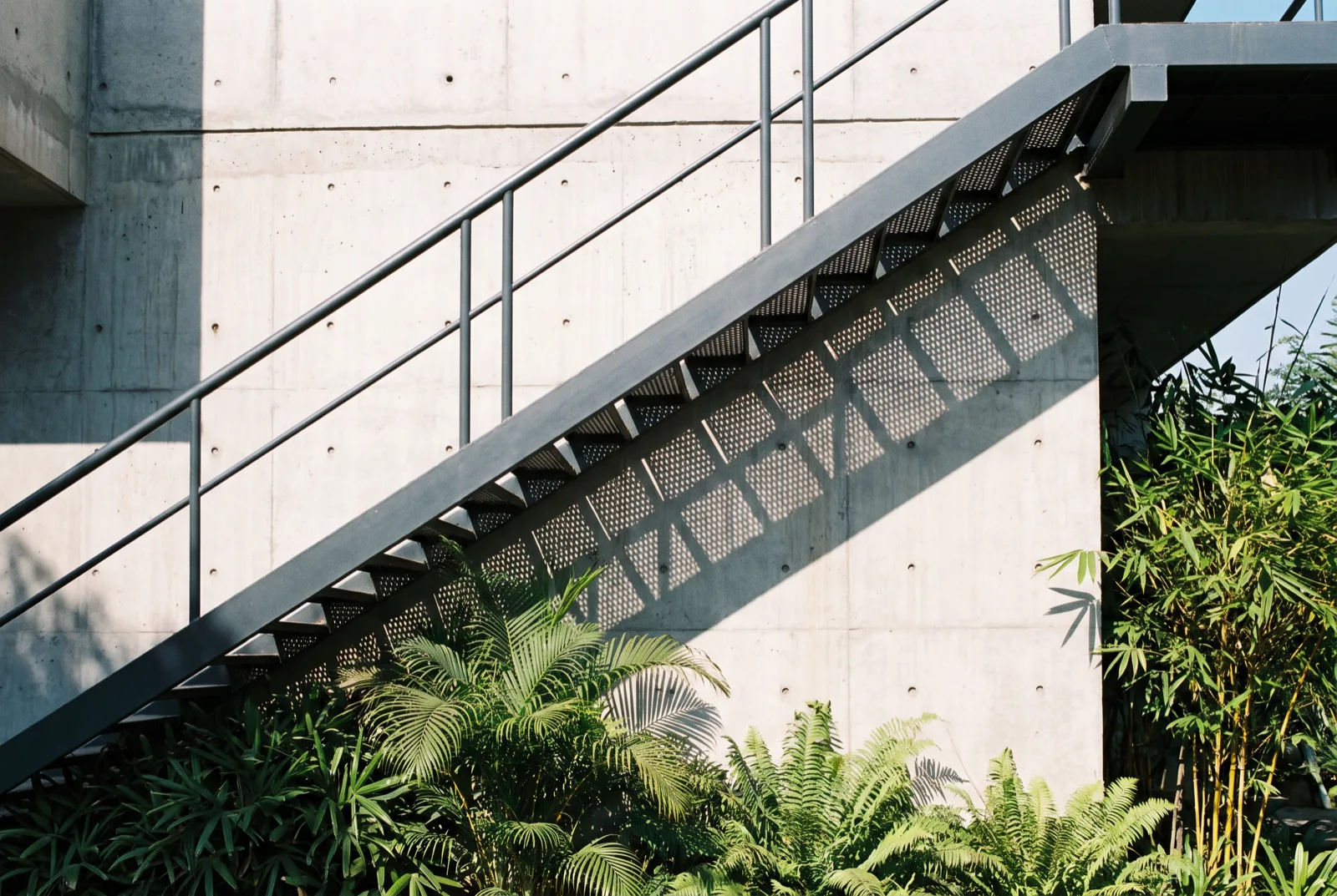 External steel staircase with perforated metal treads against a concrete wall, with tropical planting below